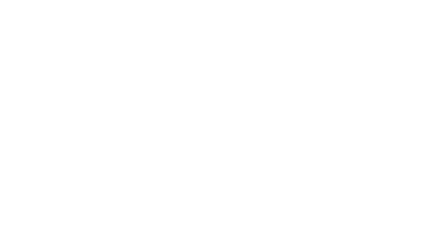 Nerko Seguros